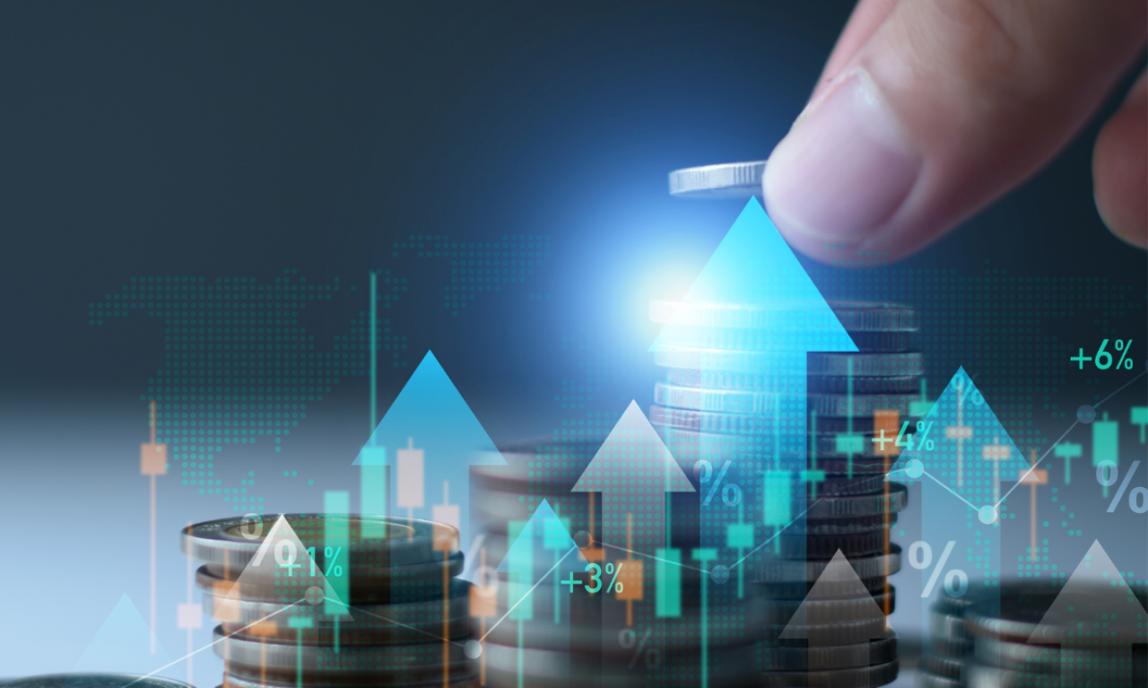 Andersen Botswana Financial Growth